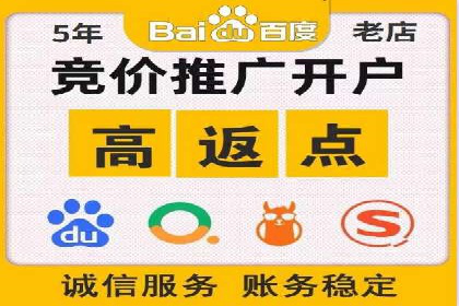 SEM服务案例：打造行业领先品牌